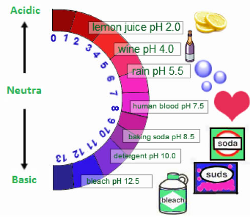 Range of pH is from 1 to 14